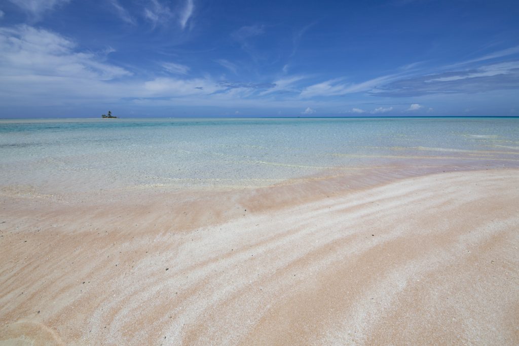 pink sand beach