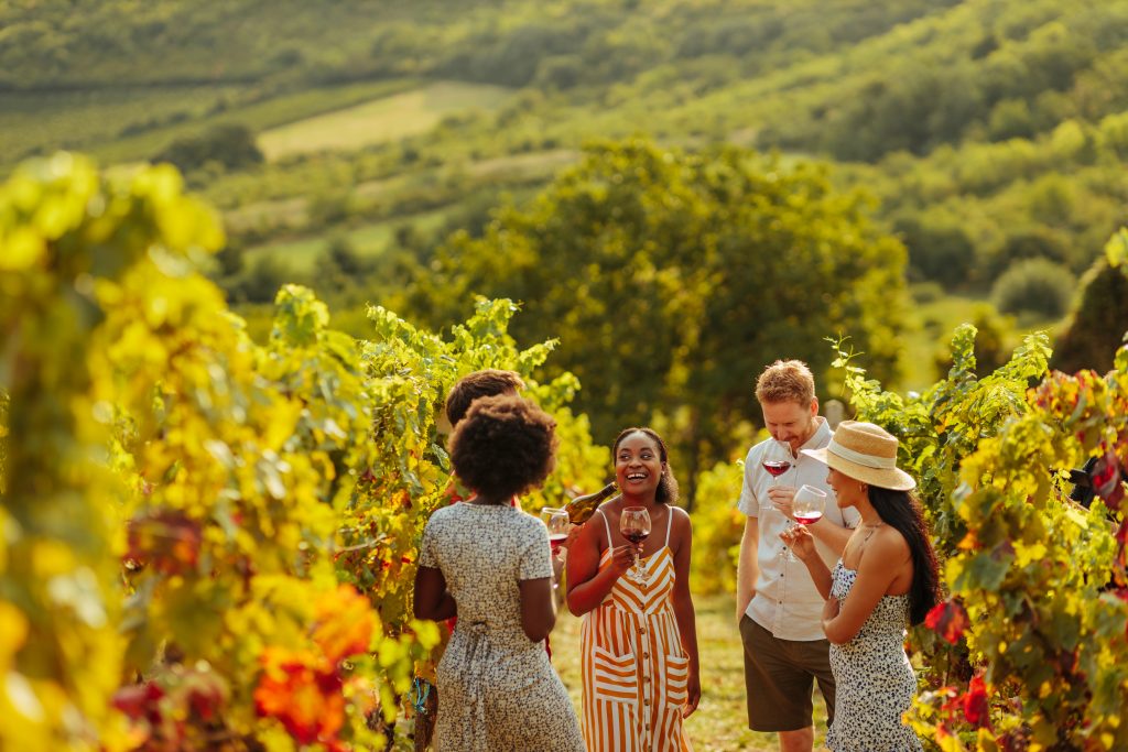 Five friends tasting wine durring a sunny afternoon amongst the grapes at a vineyard