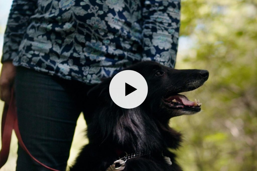 woman walking her dog