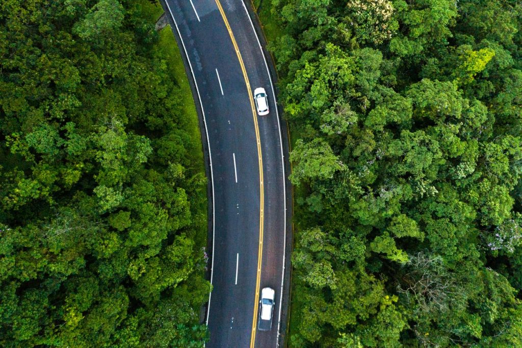 two cars driving through lush greenery