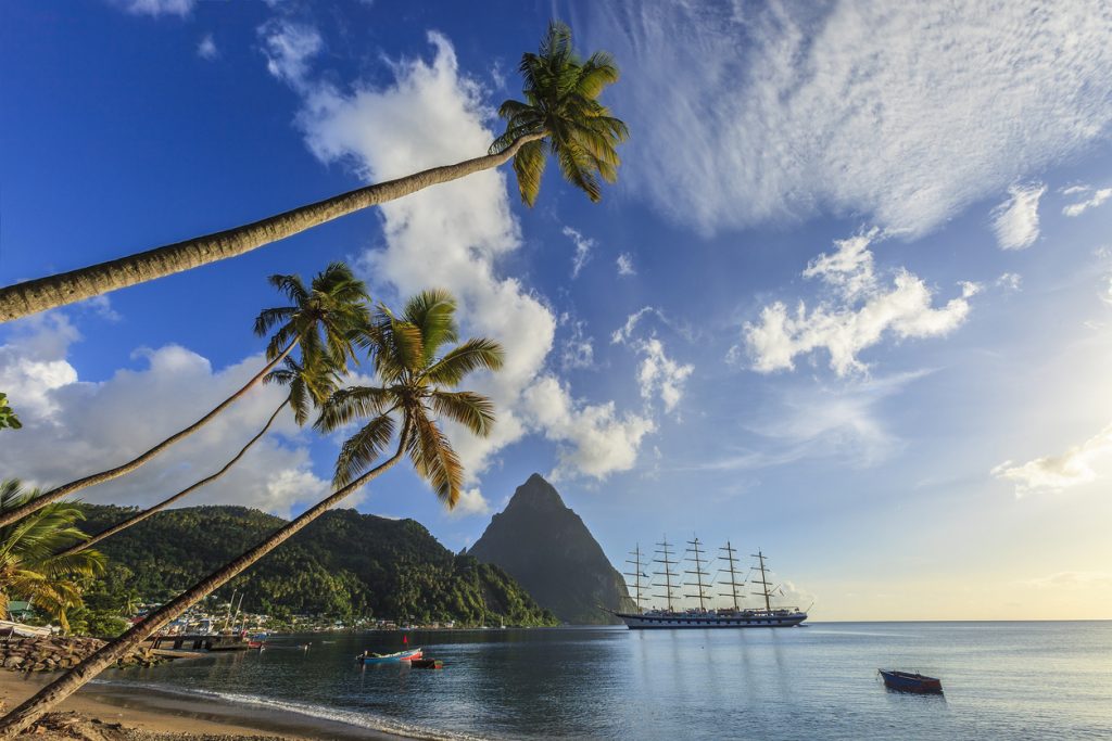 Plam trees in the Caribbean