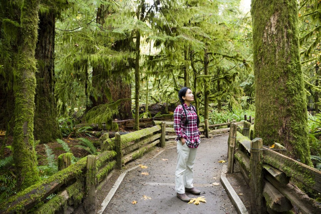 Cathedral Grove Vancouver Island