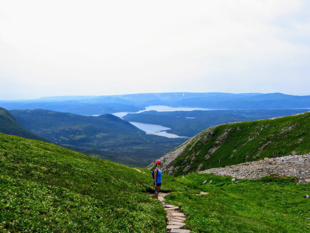 emale hiker climbing near the summit of Gros Morne Mountain, in Gros Morne National Park, Newfoundland and Labrador, Canada. A gorgeous green valley of mountains and lakes are behind her.