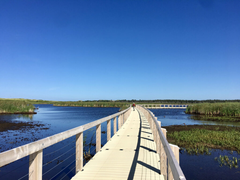 Walking along the Greenwich Floating Bridge, Prince Edward Island National Park