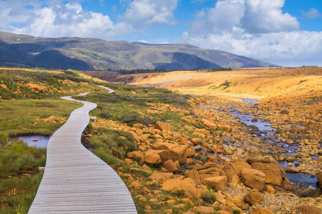 Boardwalk on Tablelands Trail, Gros Morne National Park, Newfoundland and Labrador, Canada