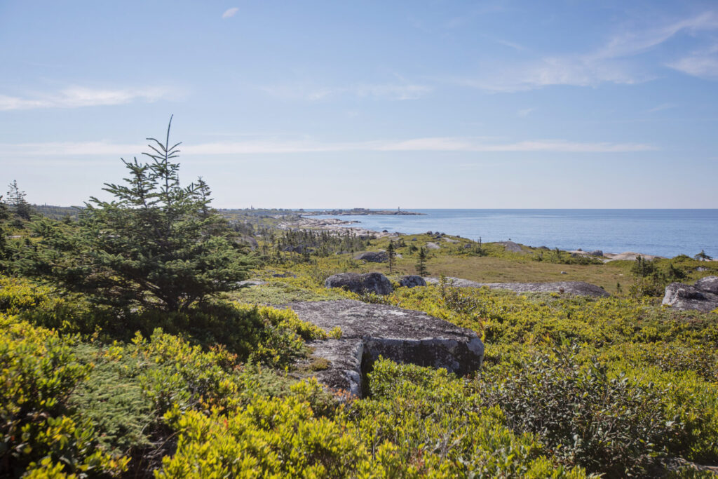 Rocky Coastal Terrain