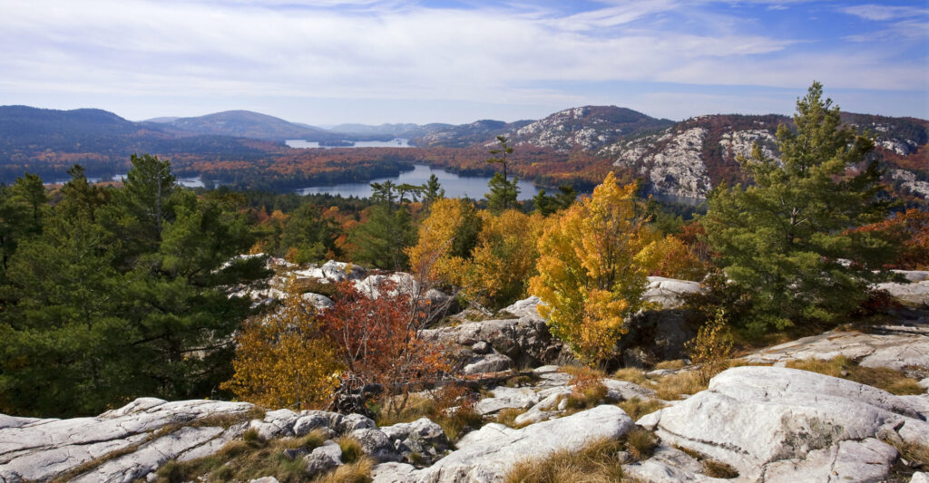 The Crack, Killarney