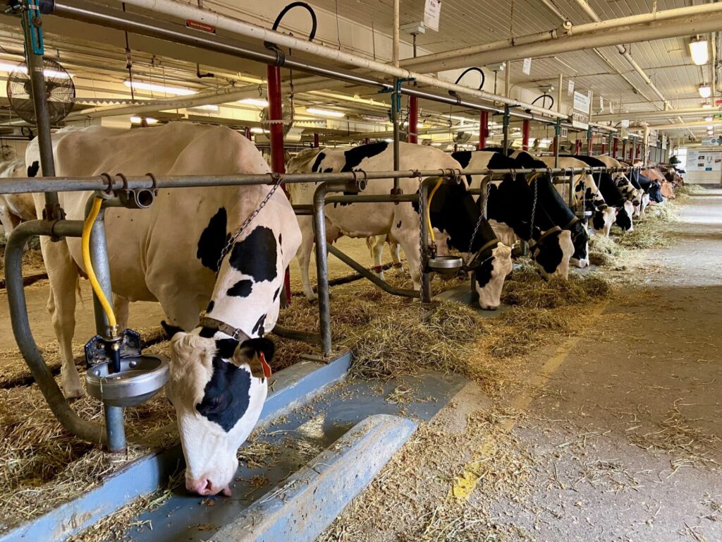 Canada Agriculture And Food Museum