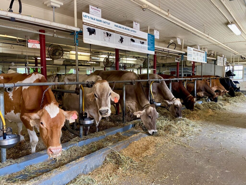 Canada Agriculture And Food Museum