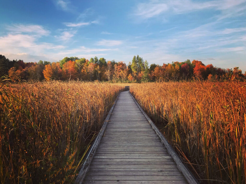 Mer bleu at fall