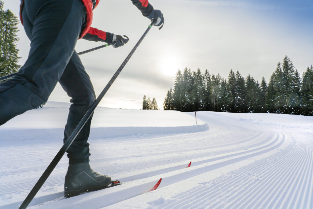 cross country ski