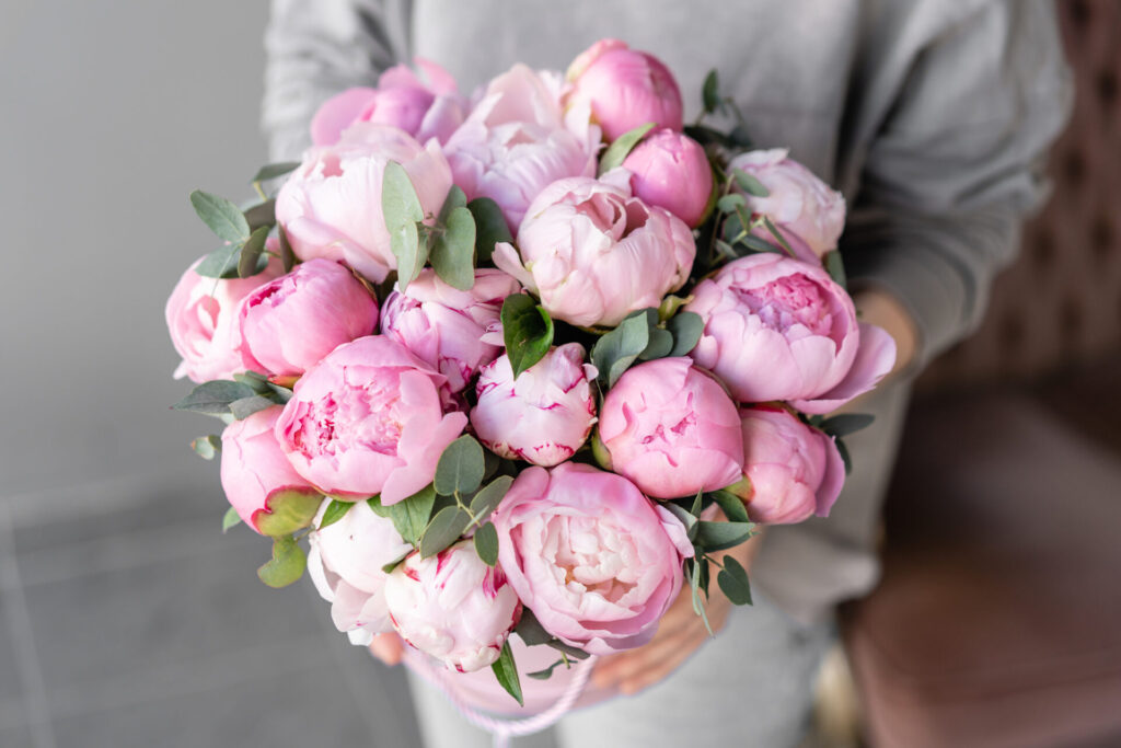 Pink peonies