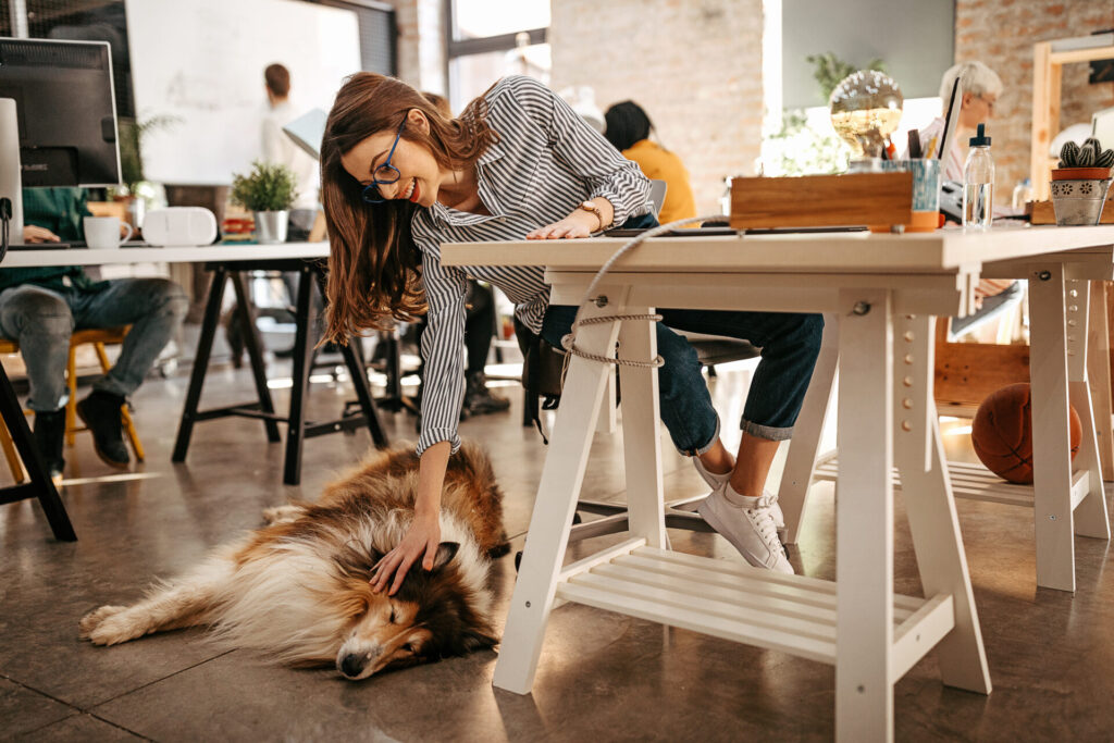 Woman stroking her pet dog at office