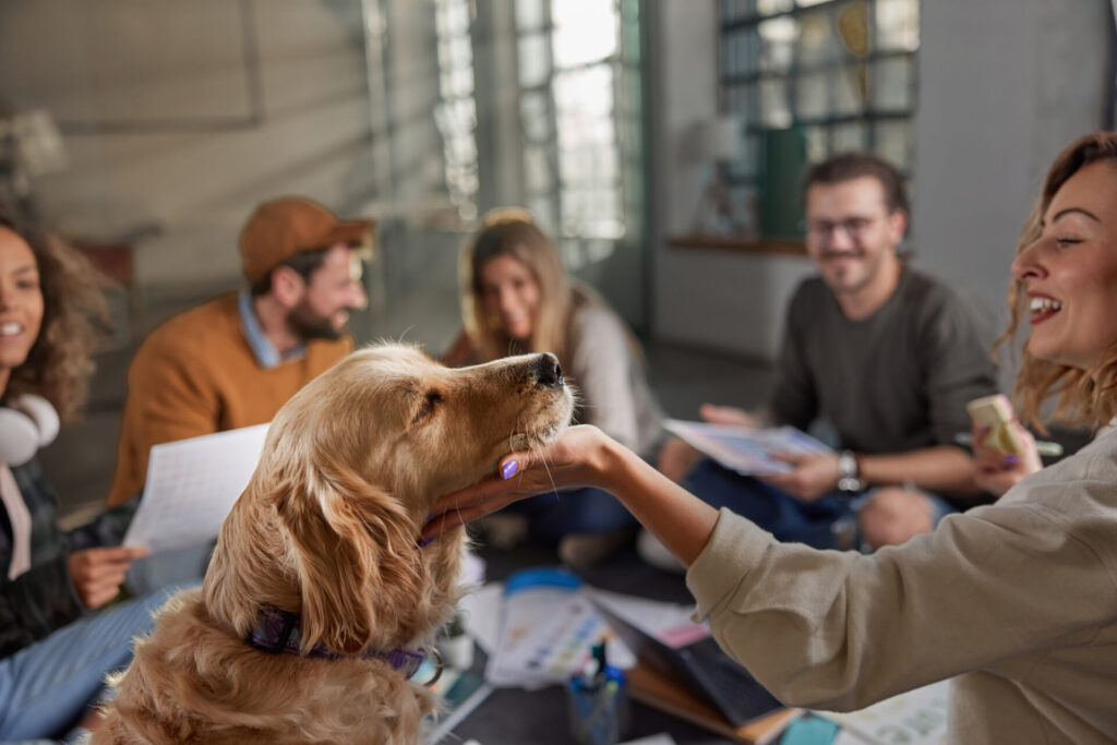 Golden retriever with creative team on a casual meeting.