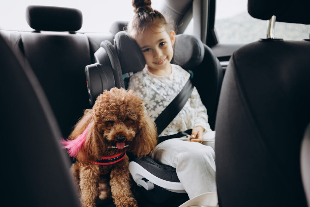 Little girl travelling in car on a sunday with her dog