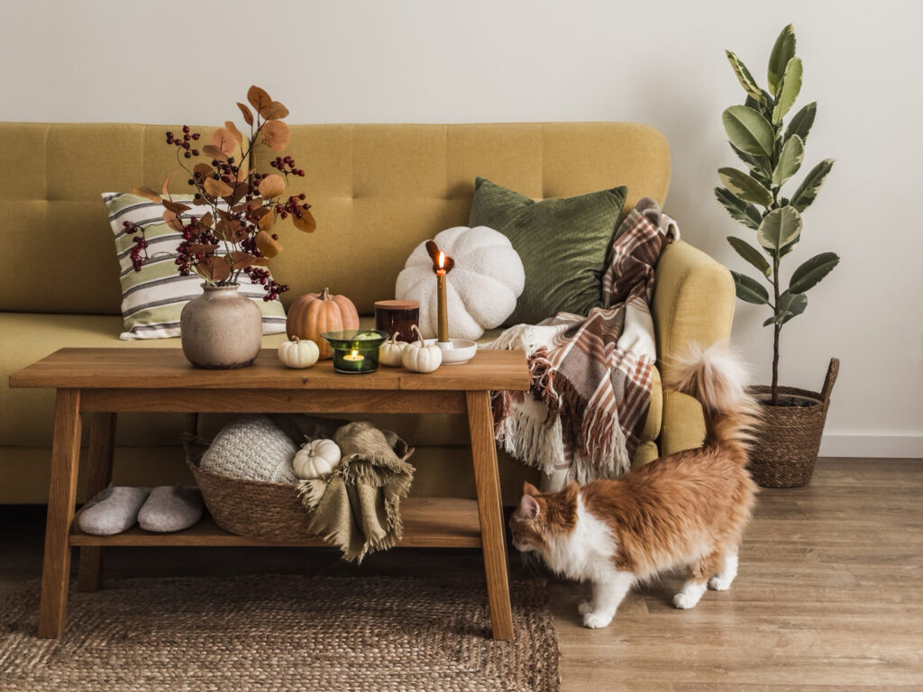 Scandinavian-style autumn living room - yellow sofa with pillows and blankets, wooden oak bench with autumn flowers, pumpkins and lighted candles. Autumn mood