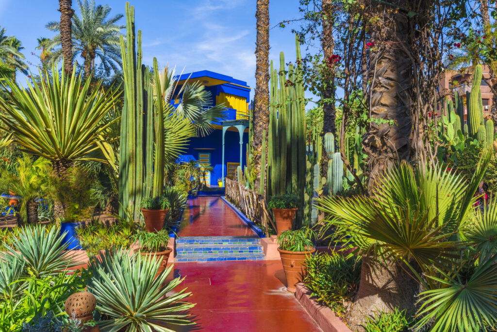 Tropical garden at Le Jardin Majorelle