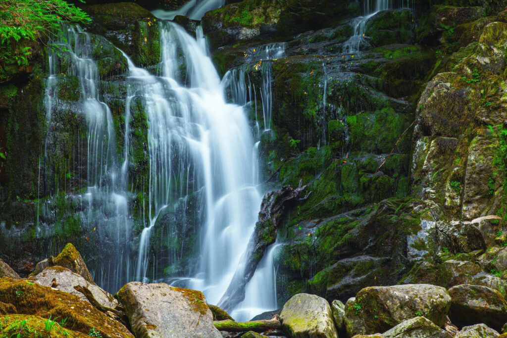 Torc waterfall (Ring of Kerry), Killarney National Park, County Kerry, Ireland